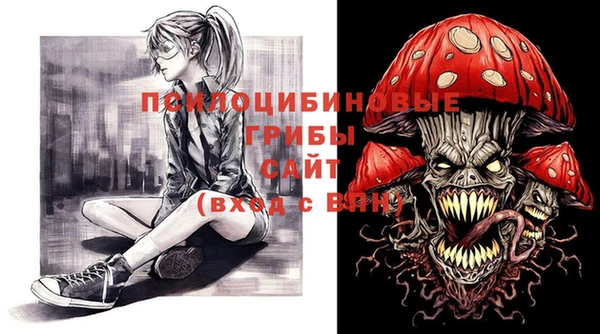ECSTASY Верхний Тагил