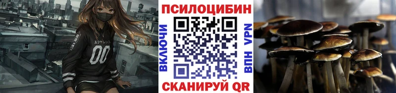 Купить где  Солигалич  Галлюциногенные грибы Magic Shrooms 